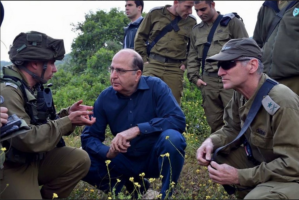 יעלון בשדה פרחים